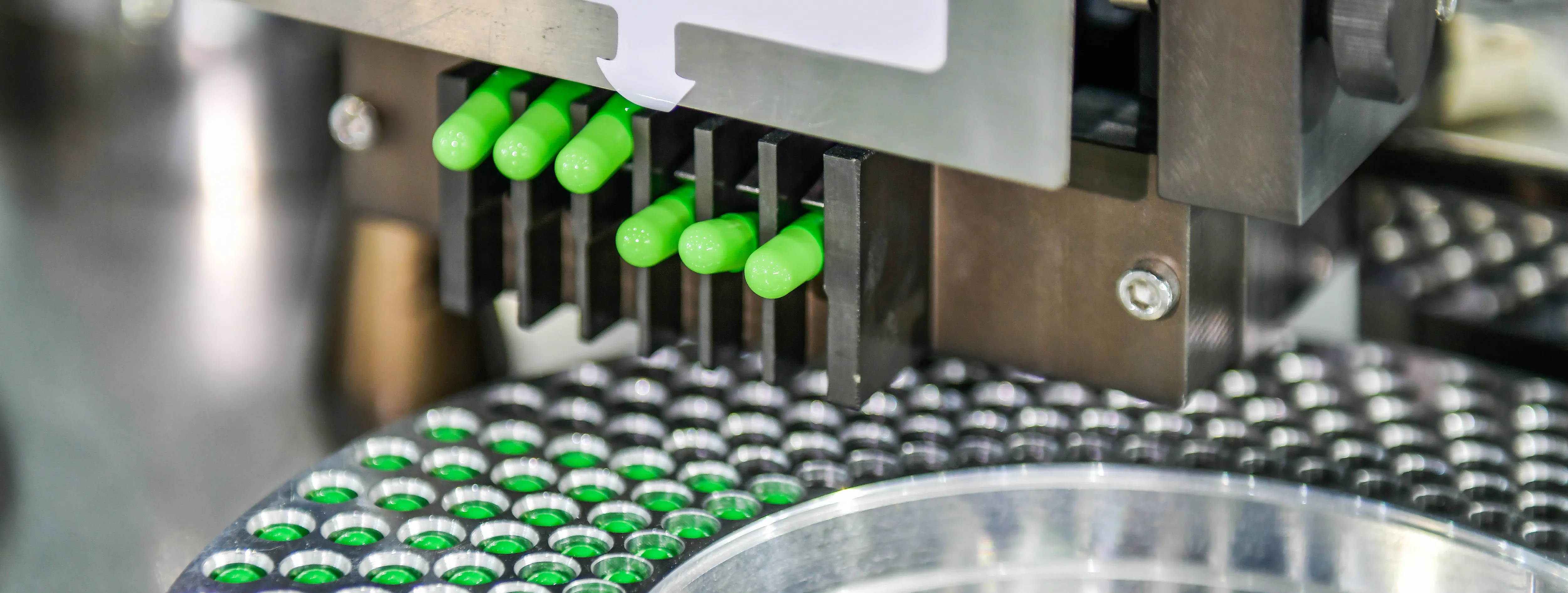 Bandcamp Leak Exposes Molly Pill Production