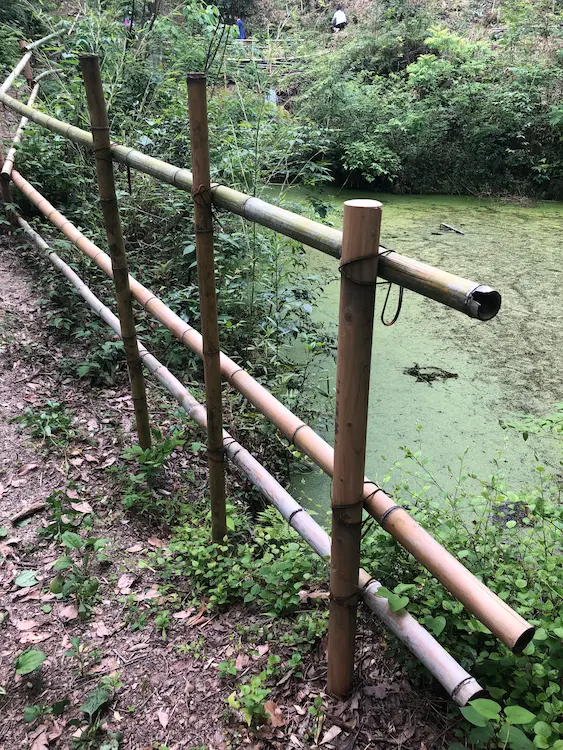 A pond fence using felled bamboo in owl forest